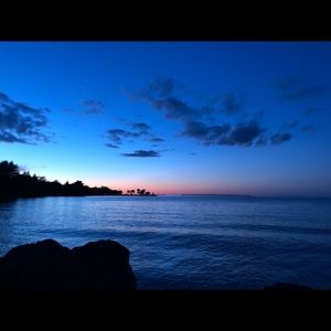 Meet your Posher, Ella